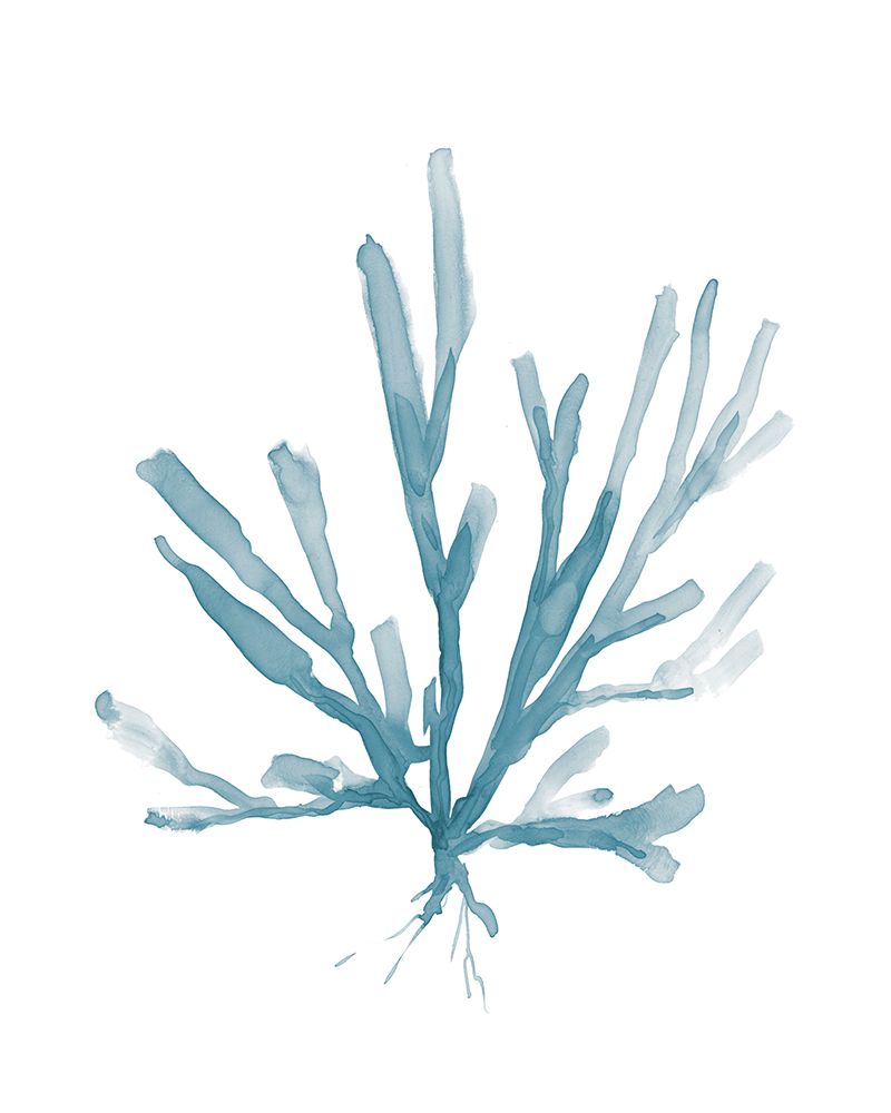 Blue Sea Coral I art print by Carol Robinson for $57.95 CAD