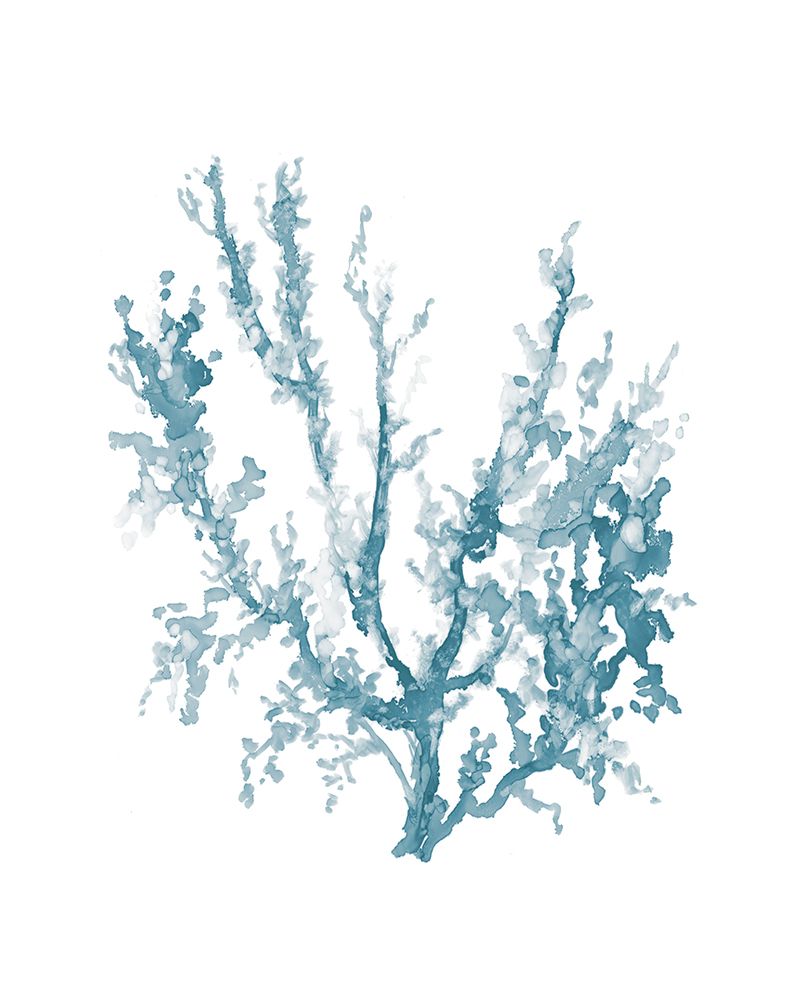 Blue Sea Coral II art print by Carol Robinson for $57.95 CAD