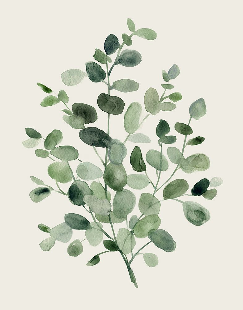 Honeybloom Eucalyptus I art print by Carol Robinson for $57.95 CAD