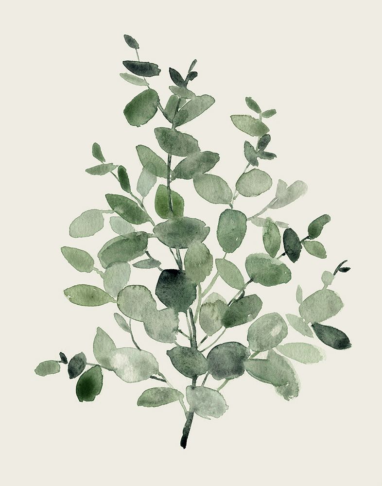 Honeybloom Eucalyptus II art print by Carol Robinson for $57.95 CAD