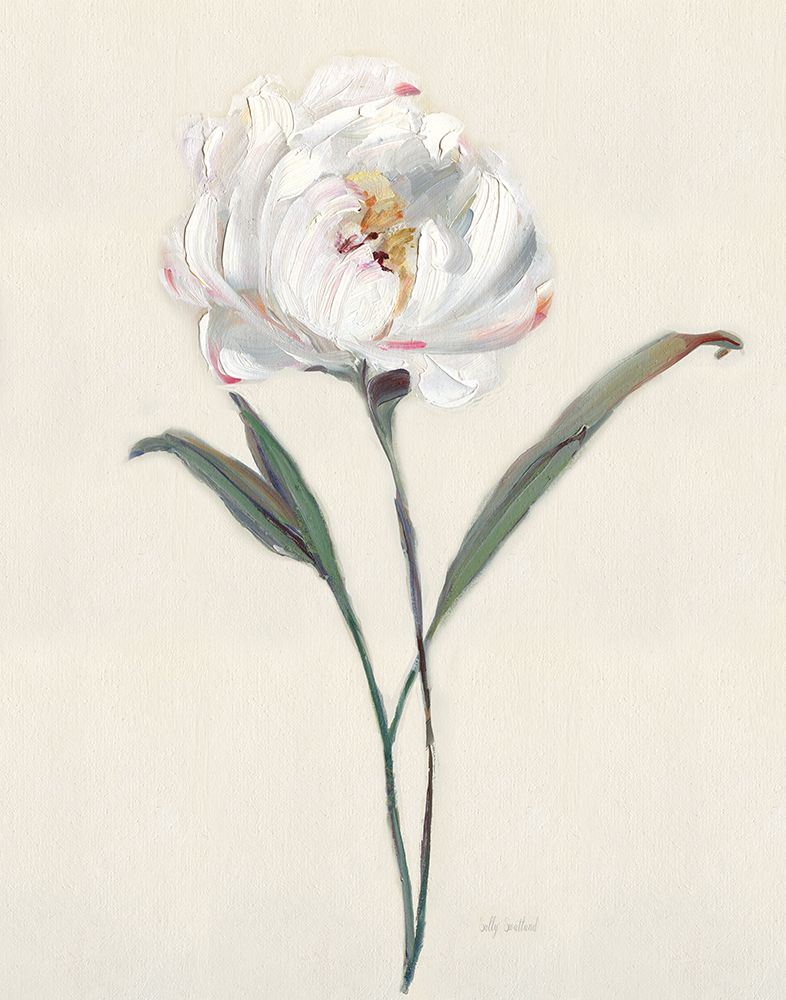Peony Grand II art print by Sally Swatland for $57.95 CAD