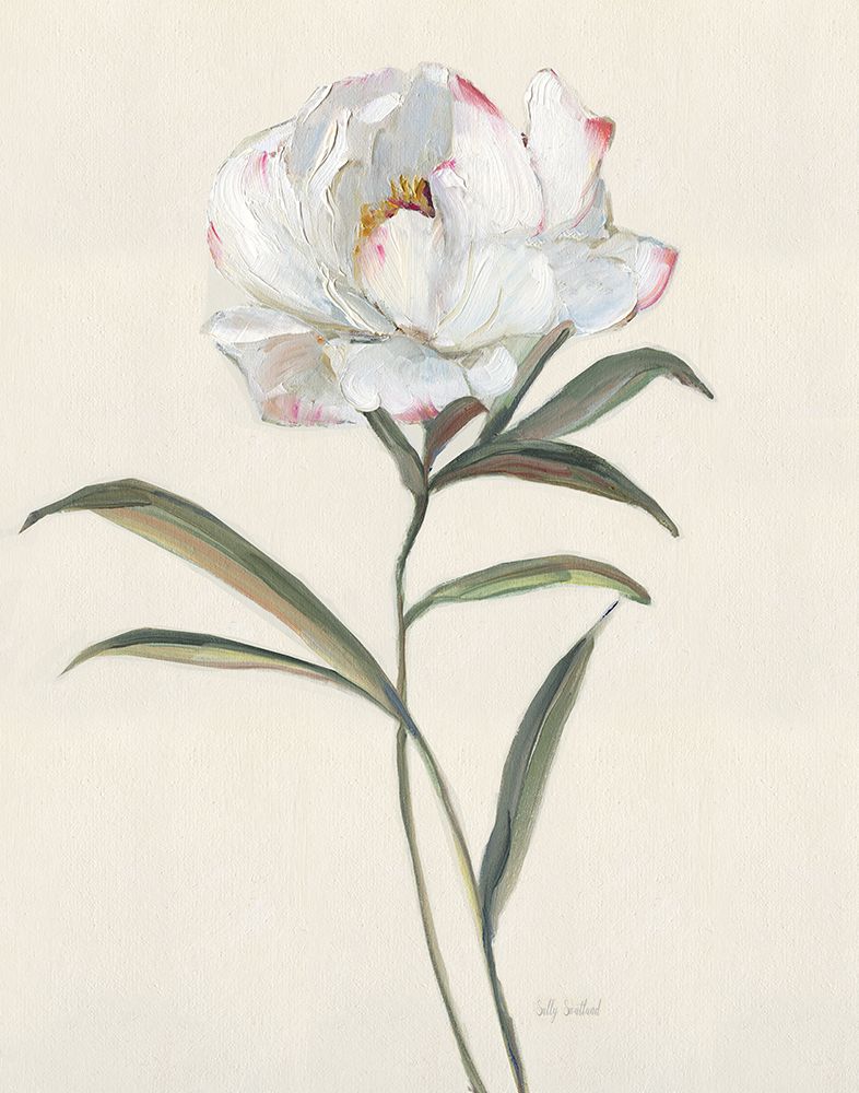 Peony Grand II art print by Sally Swatland for $57.95 CAD