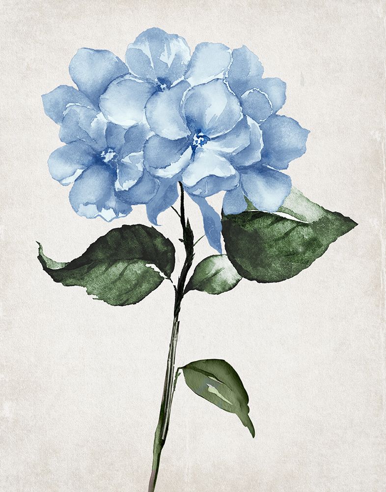 Hydrangea Stem II art print by Val Rhodes for $57.95 CAD
