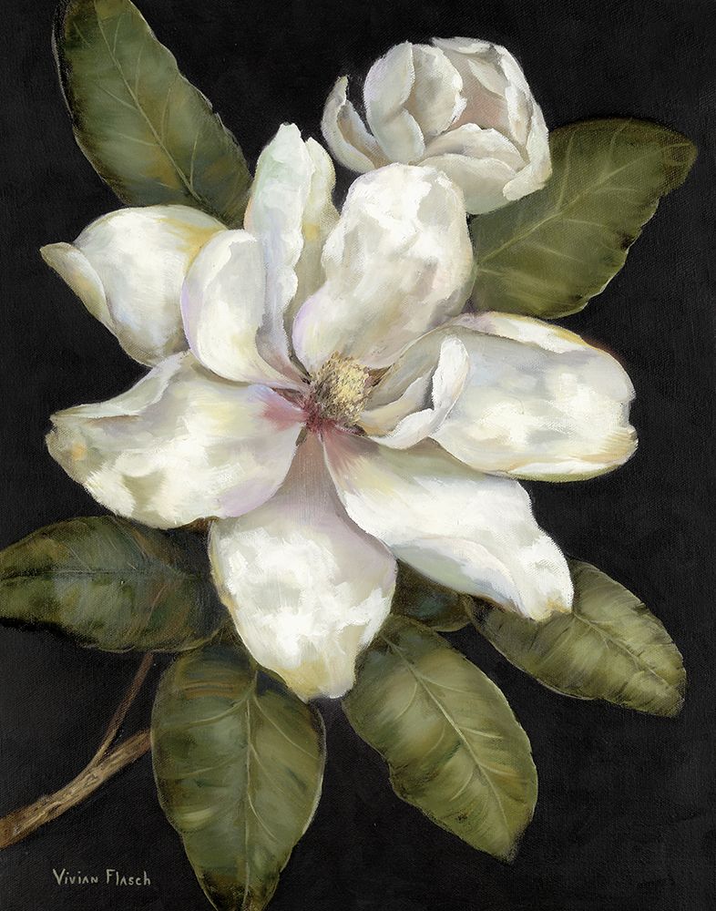Elegant Magnolia I art print by Nan for $57.95 CAD