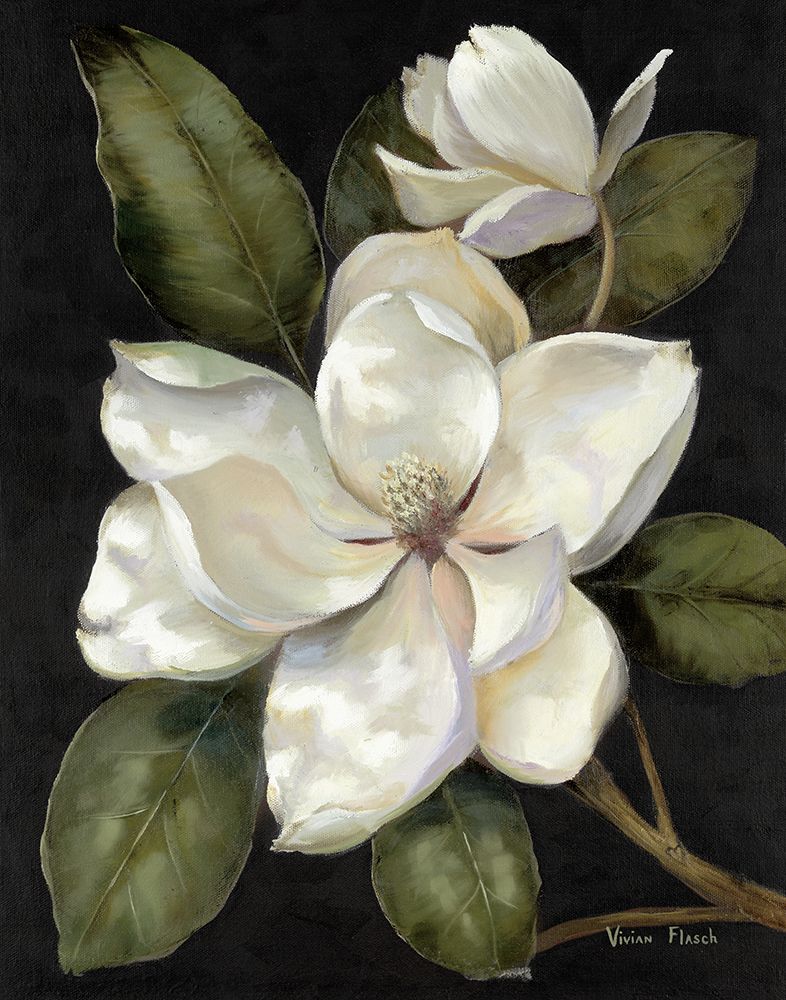Elegant Magnolia II art print by Nan for $57.95 CAD