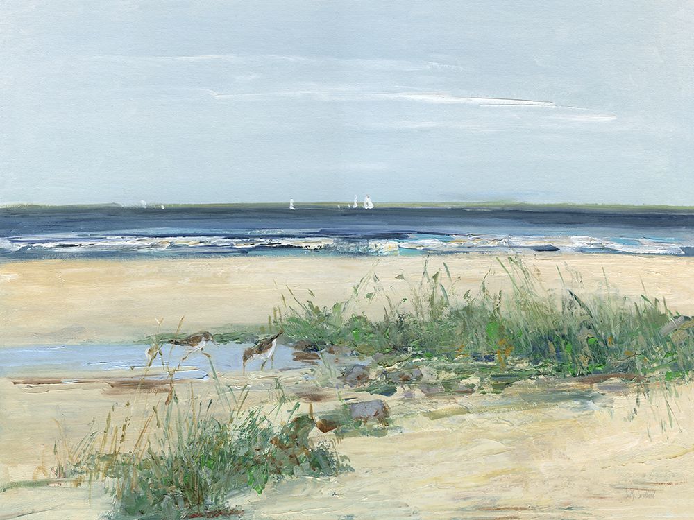 Seabirds and Sails art print by Sally Swatland for $57.95 CAD