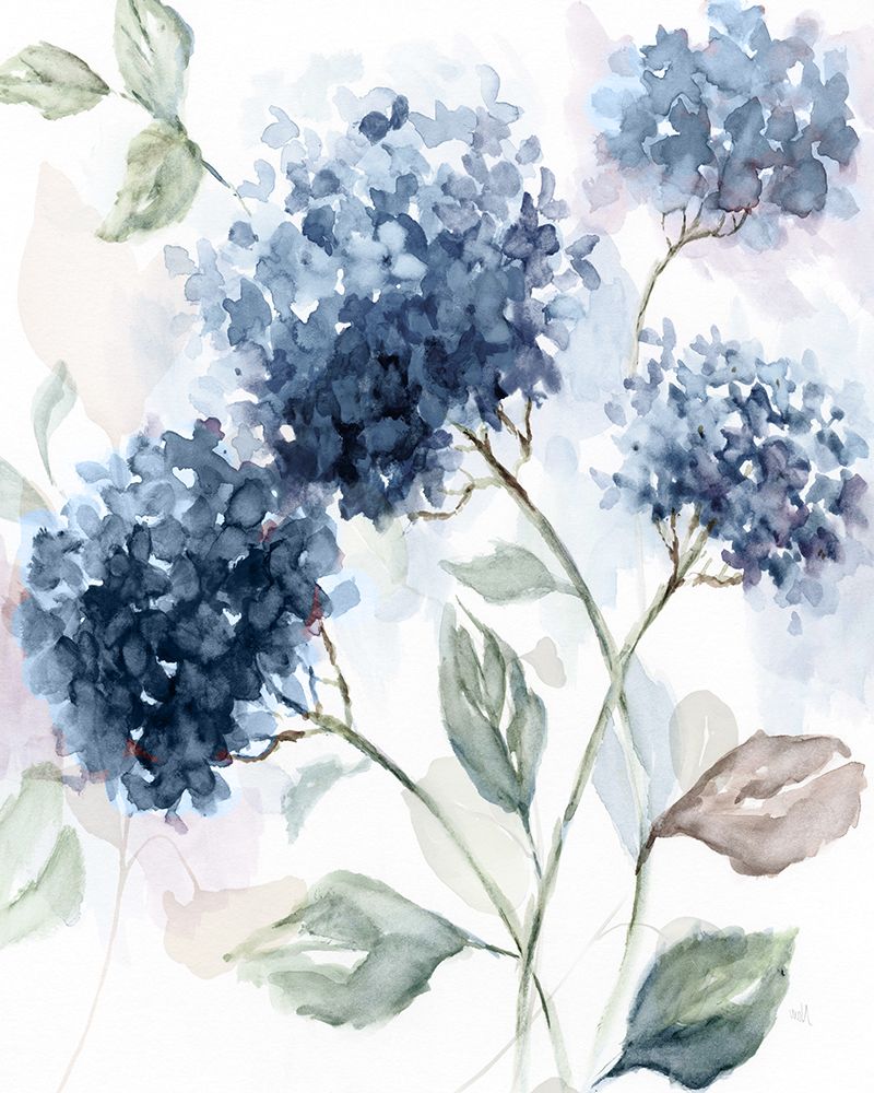 Hydrangea Breeze II art print by Nan for $57.95 CAD