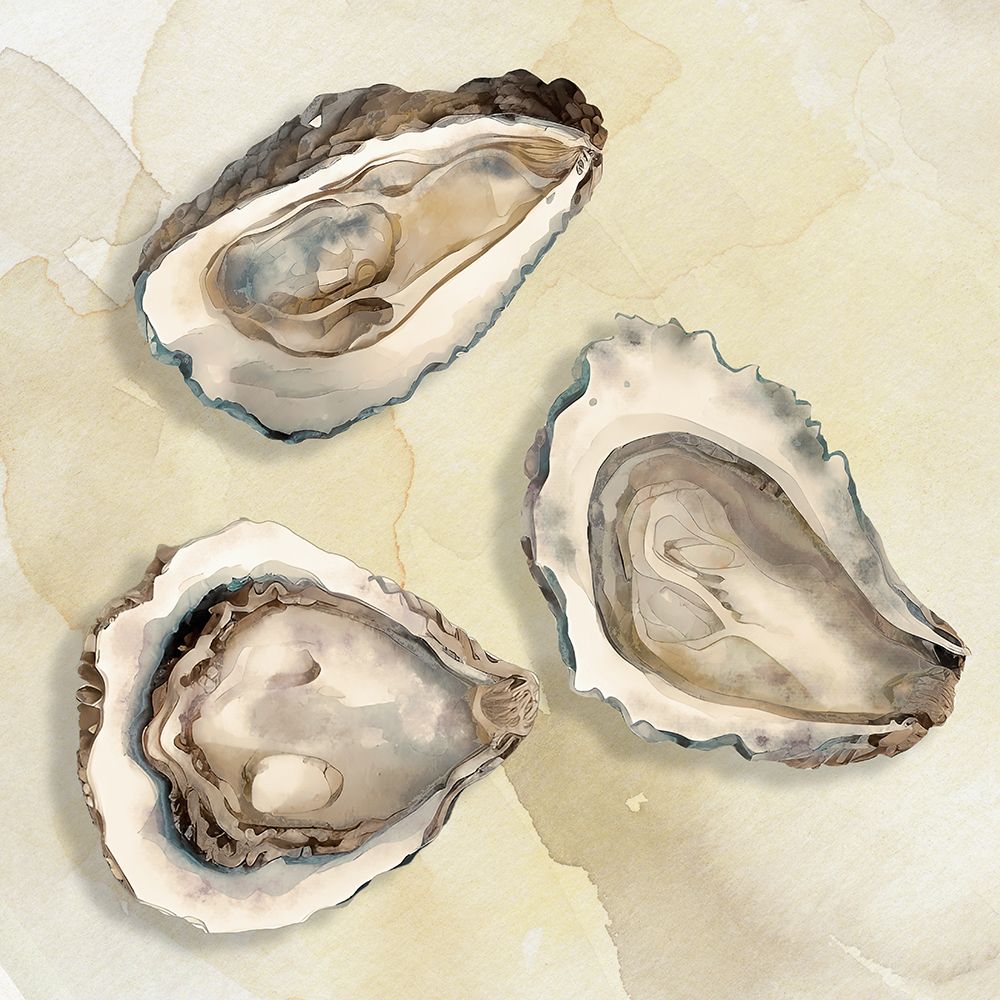 Oysters I art print by CAD Designs for $57.95 CAD