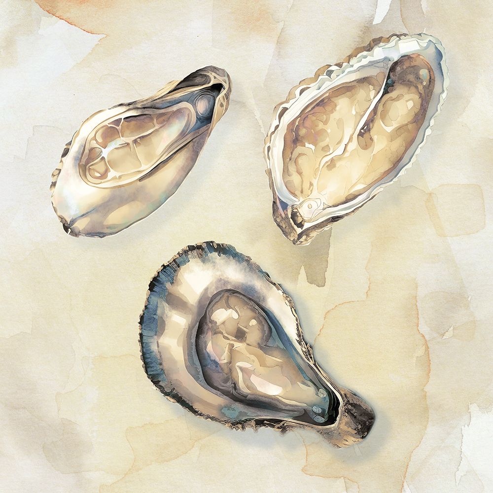 Oysters II art print by CAD Designs for $57.95 CAD