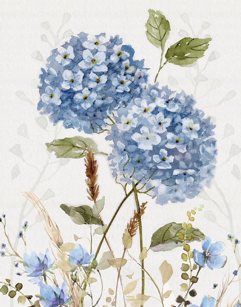 Hydrangea Allure I art print by Nan for $57.95 CAD