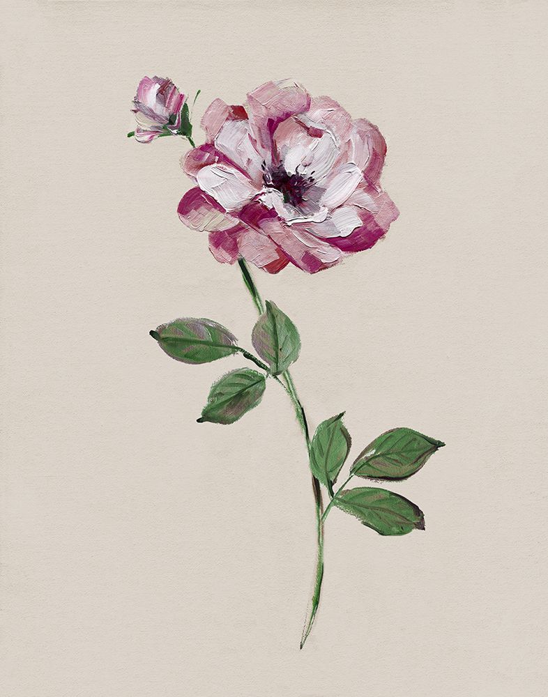 Jewel Rose I art print by Sally Swatland for $57.95 CAD