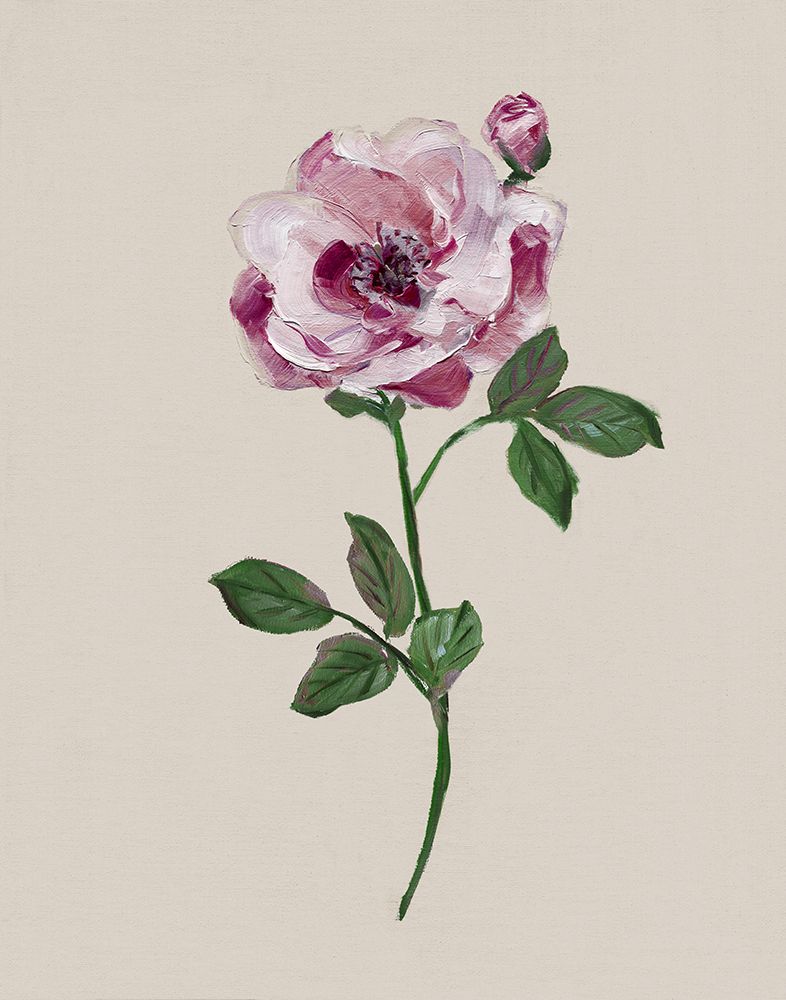 Jewel Rose II art print by Sally Swatland for $57.95 CAD