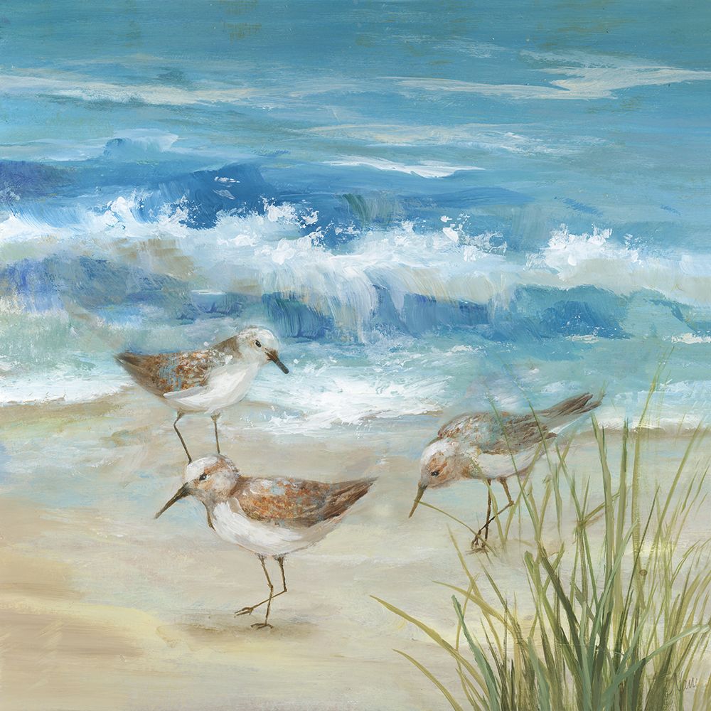 Sandpiper Gathering II art print by Nan for $57.95 CAD