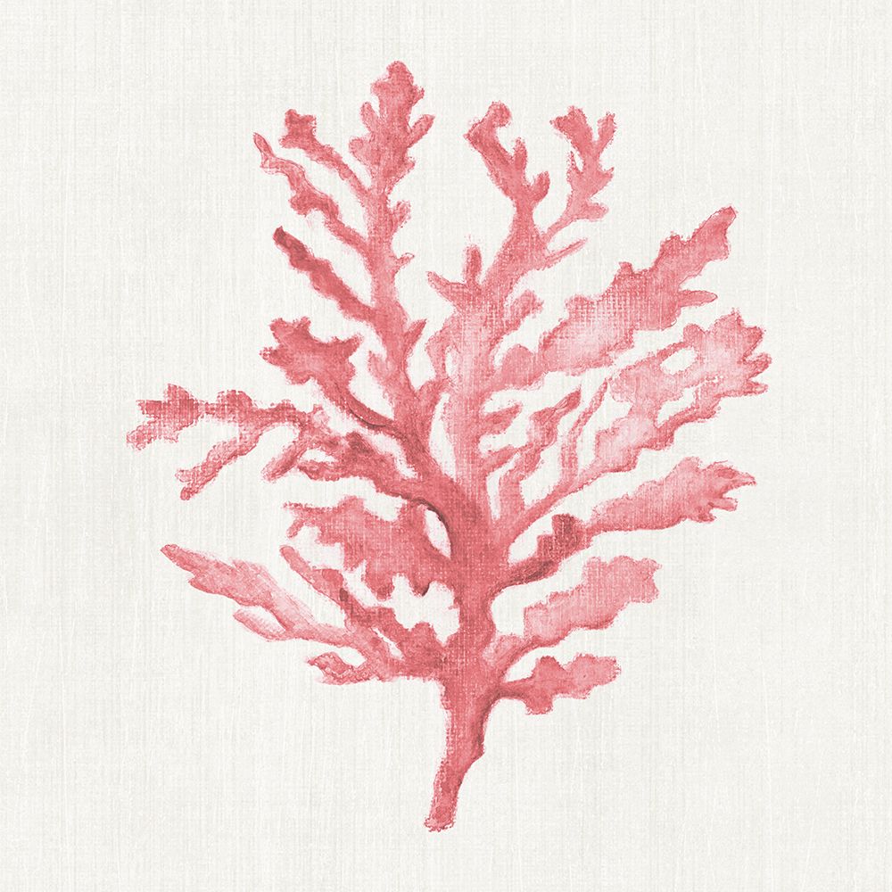 Haven Coral I art print by Janet Tava for $57.95 CAD