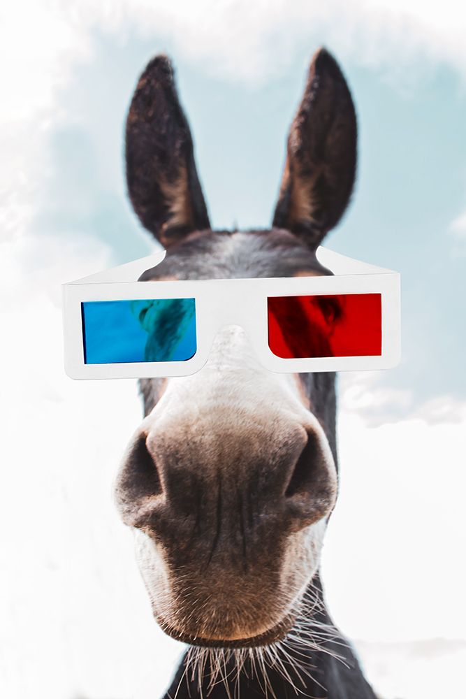 Donkey in 3D art print by CAD Design for $57.95 CAD