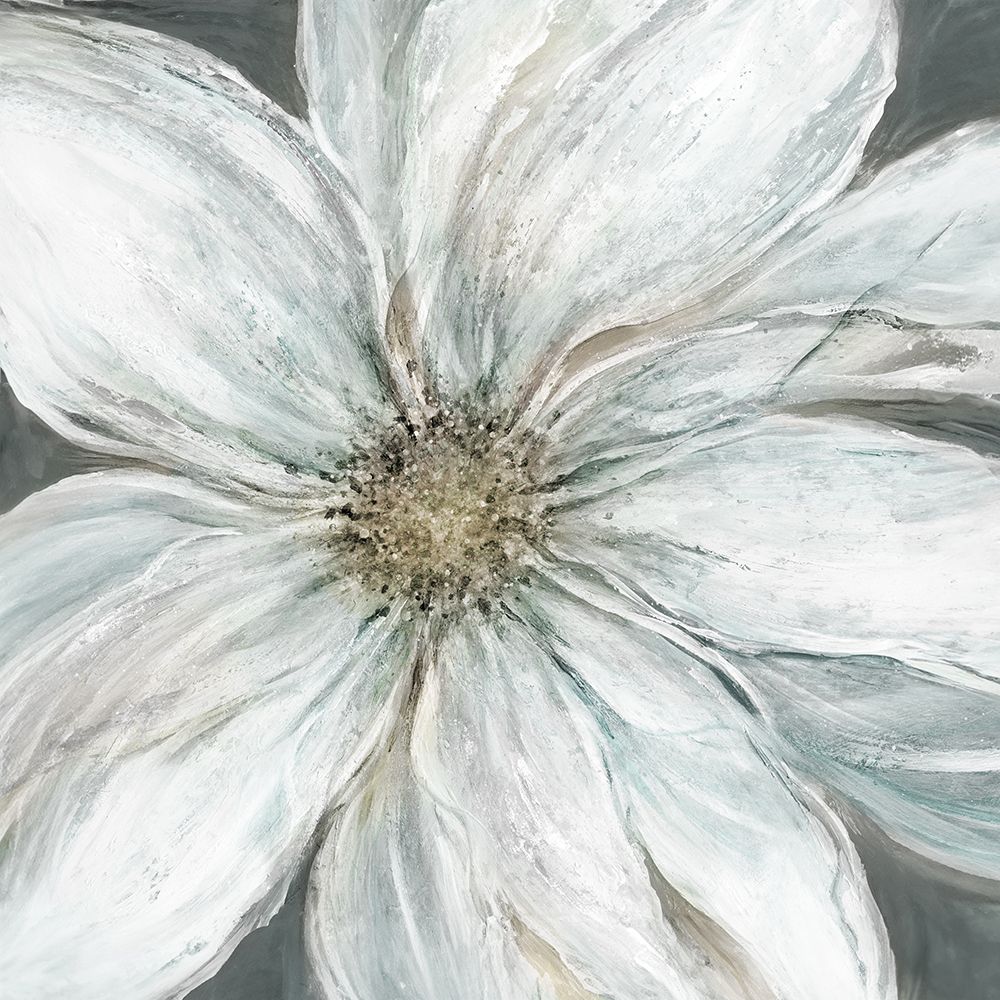 Dazzling Bloom I art print by Carol Robinson for $57.95 CAD