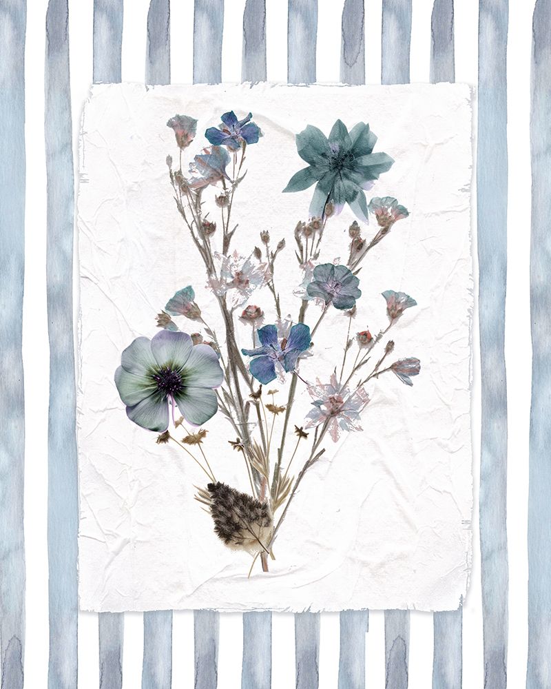 Hand Pressed Flowers II art print by Carol Robinson for $57.95 CAD