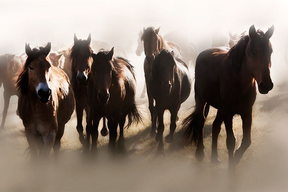 Thunder Road art print by Superstock Partners LLC for $57.95 CAD