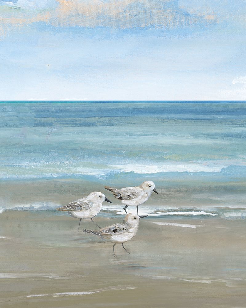 Sandpiper View I art print by Nan for $57.95 CAD
