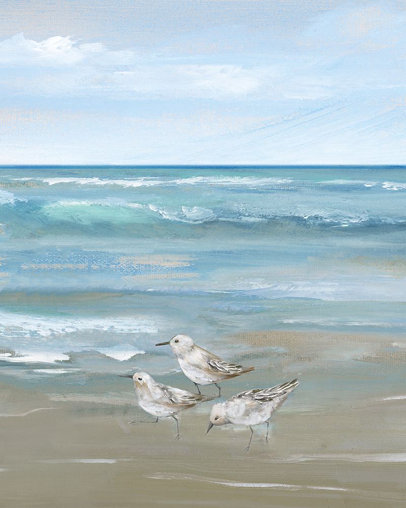 Sandpiper View II art print by Nan for $57.95 CAD