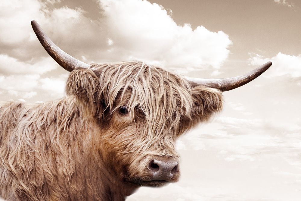 Highland Dreamin art print by CAD Design for $57.95 CAD