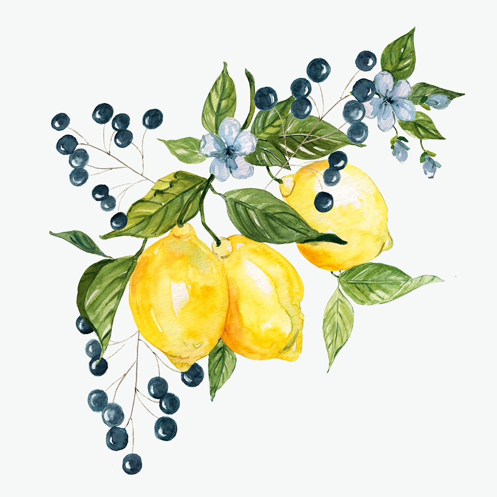 Providence Lemons I art print by Livi Finn for $57.95 CAD