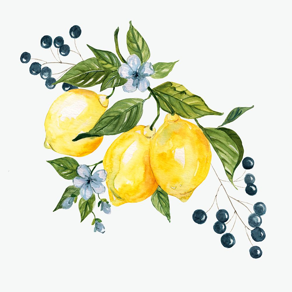 Providence Lemons II art print by Livi Finn for $57.95 CAD
