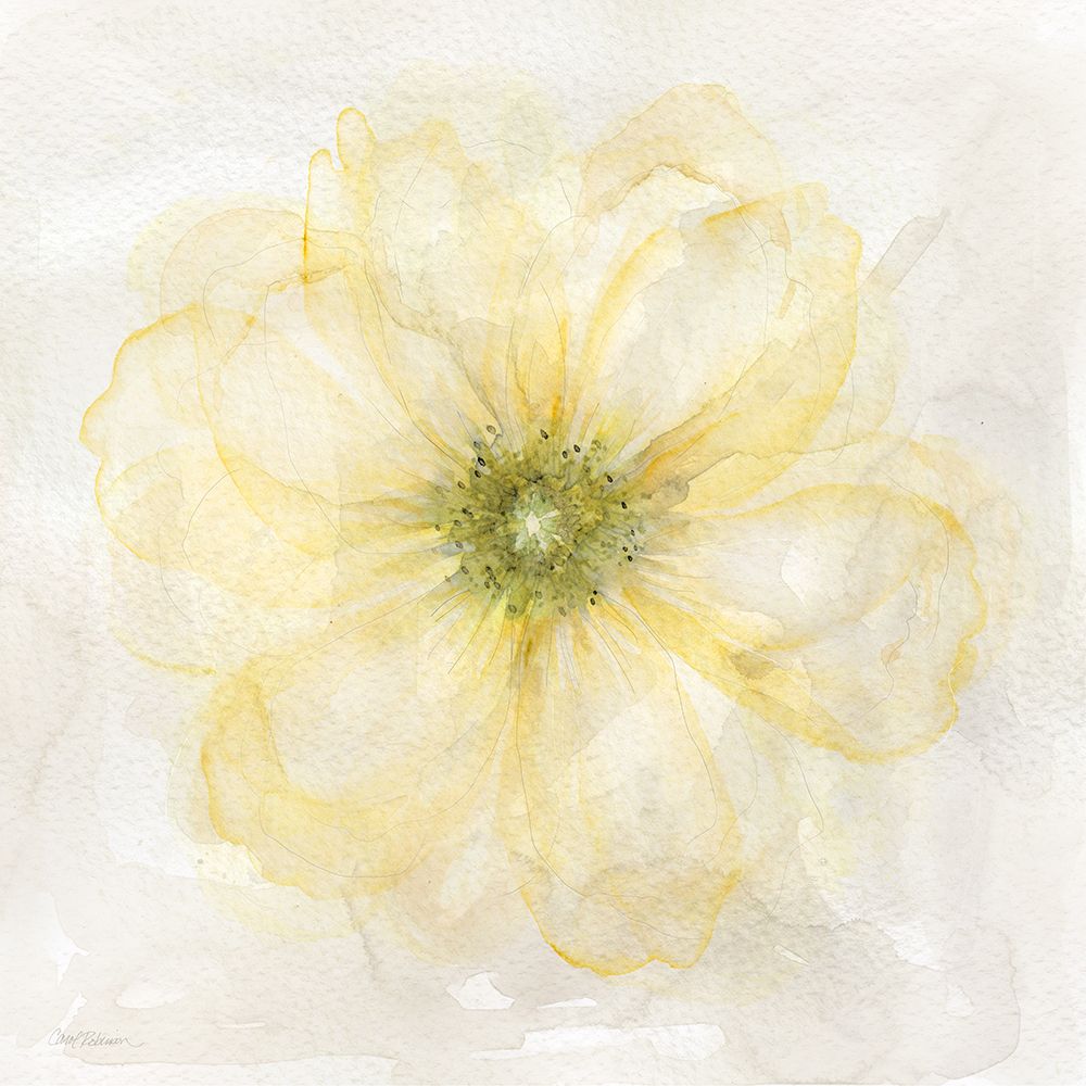 Yellow Posy I art print by Carol Robinson for $57.95 CAD