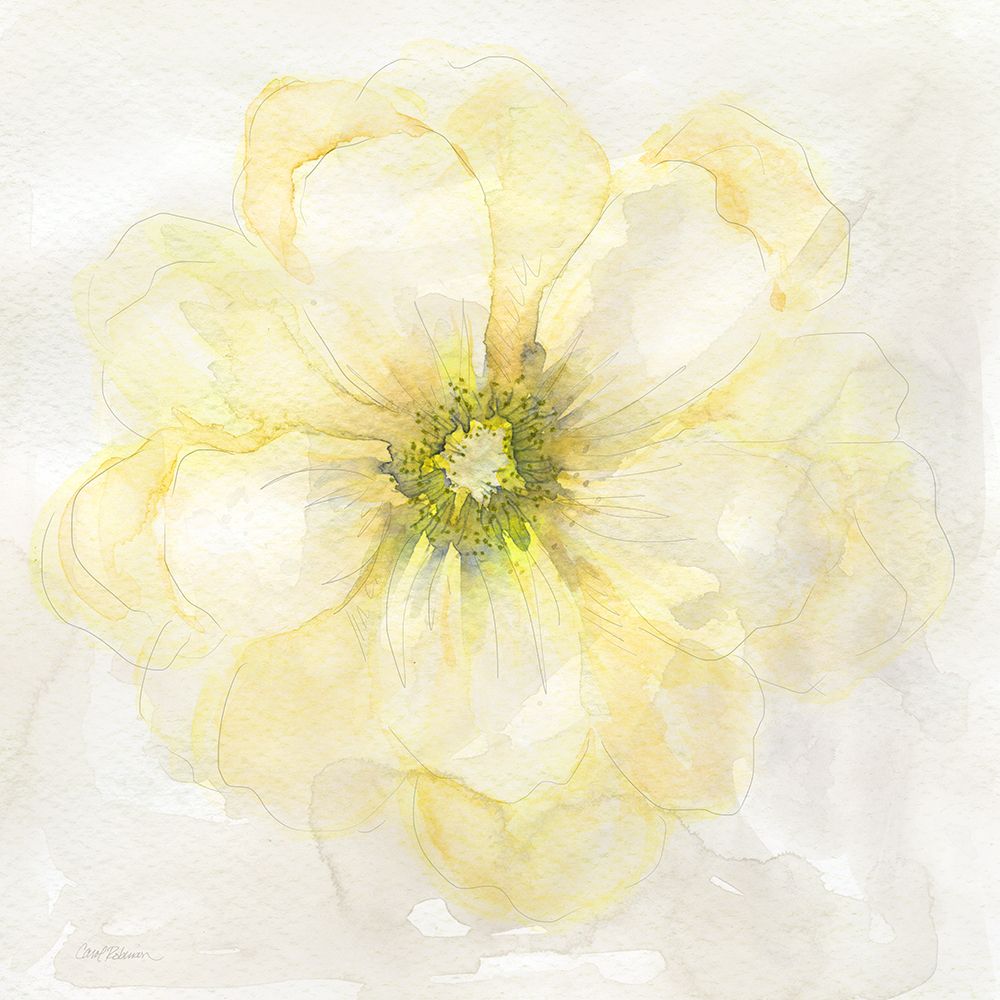 Yellow Posy II art print by Carol Robinson for $57.95 CAD