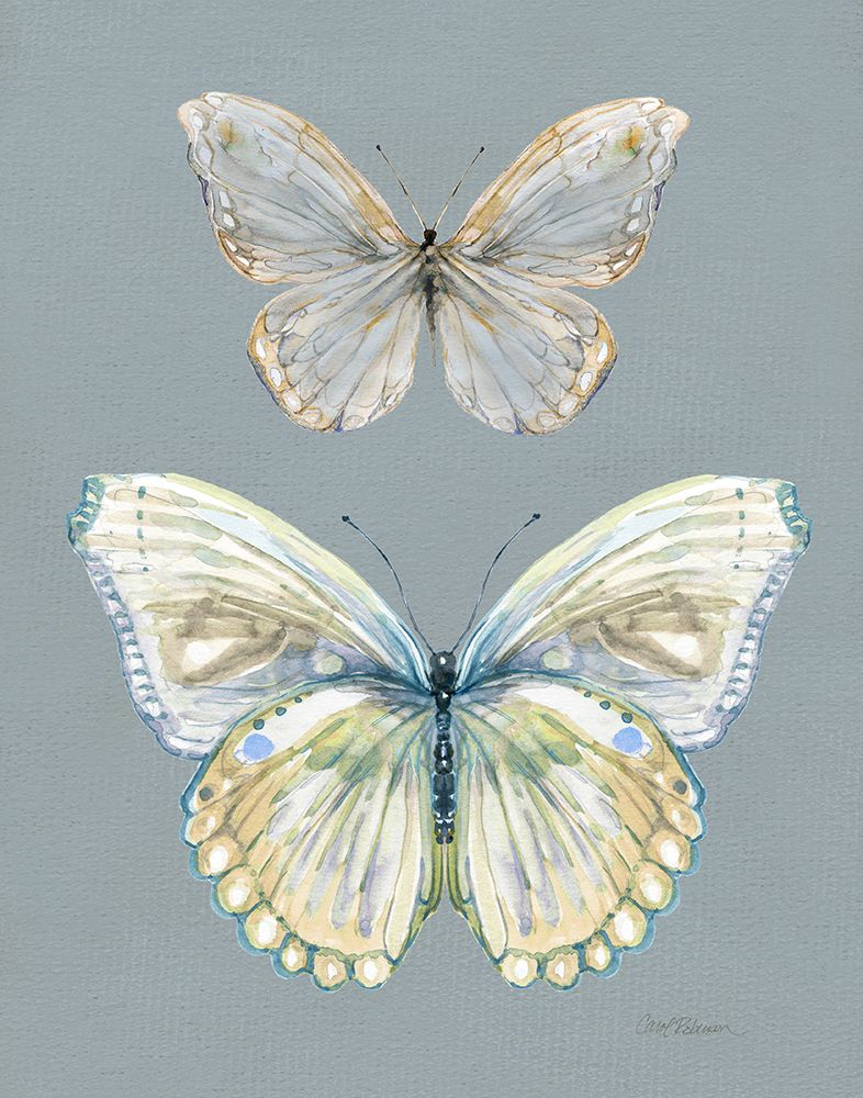 Honeybloom Butterfly I art print by Carol Robinson for $57.95 CAD