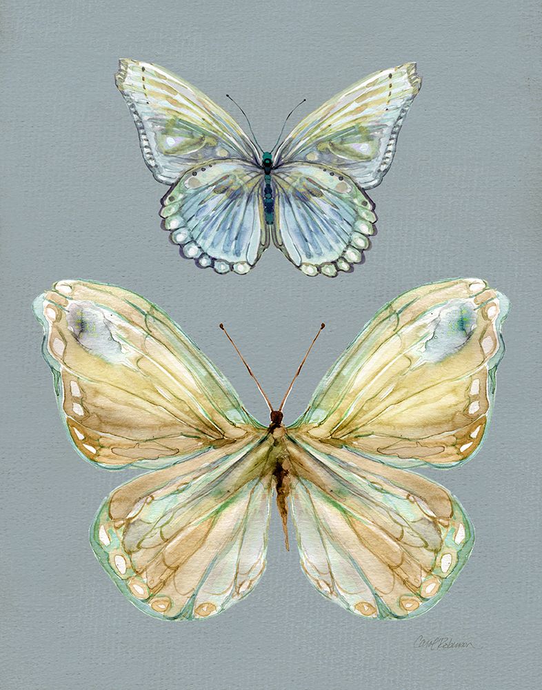 Honeybloom Butterfly II art print by Carol Robinson for $57.95 CAD
