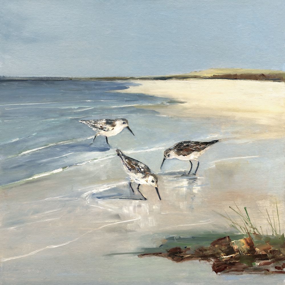 Sandpiper Cove I art print by Sally Swatland for $57.95 CAD