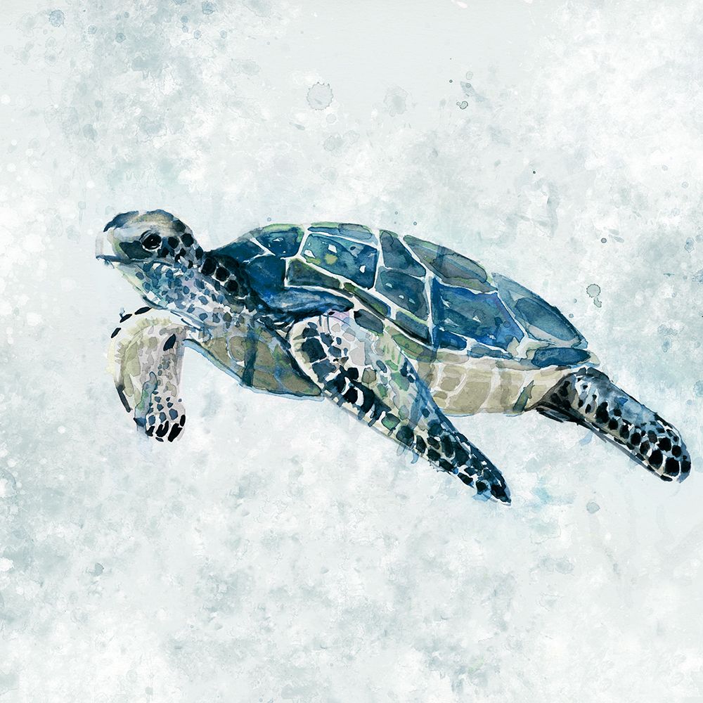 Under the Sea Turtle II art print by Carol Robinson for $57.95 CAD