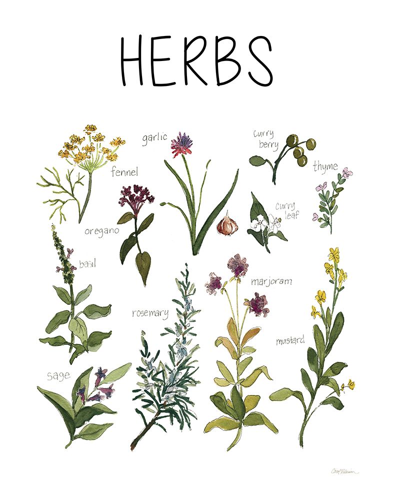 Herbs art print by Carol Robinson for $57.95 CAD