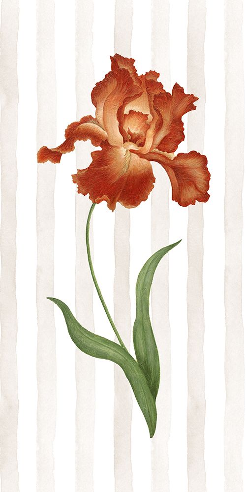 Romantic I art print by Jane Carroll for $57.95 CAD