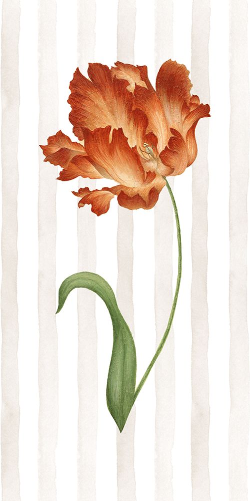 Romantic II art print by Jane Carroll for $57.95 CAD