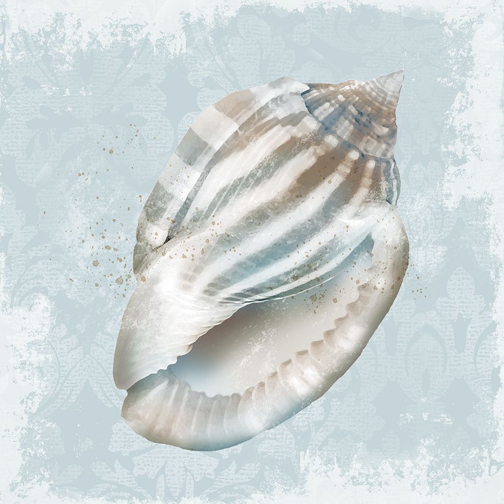 Ocean Blue Shell I art print by Conrad Knutsen for $57.95 CAD