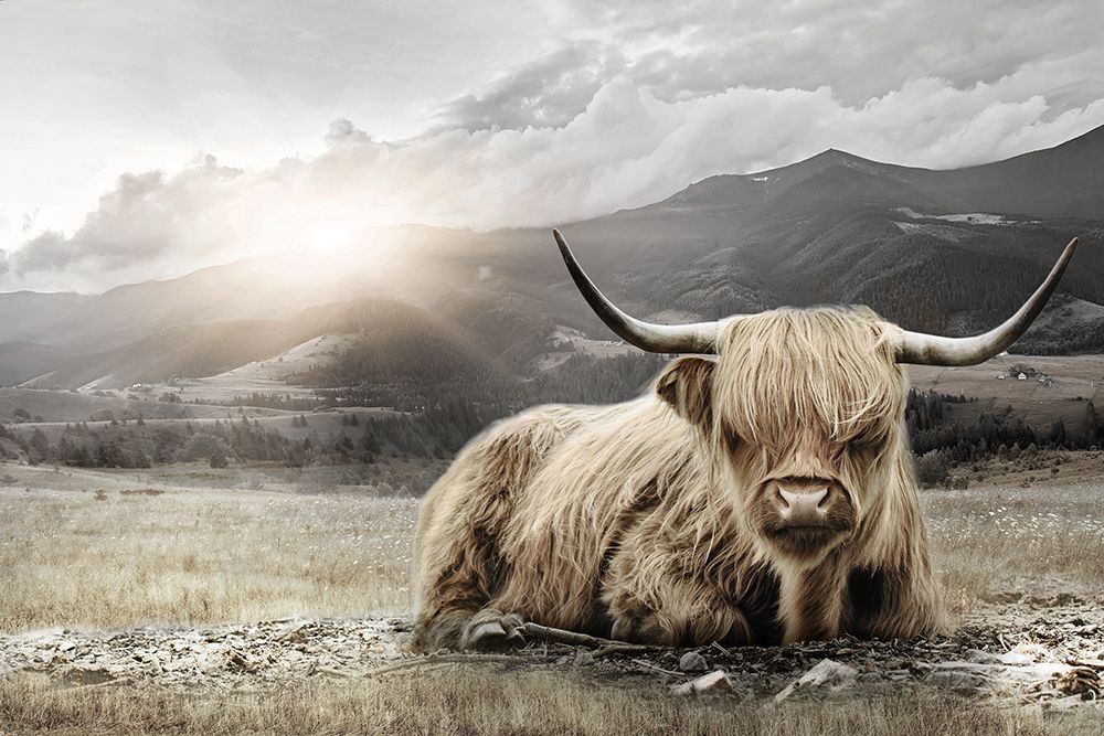 Meadow Highlander art print by CAD Design for $57.95 CAD
