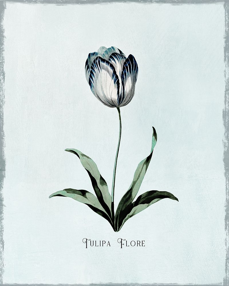 Beautiful Blue Tulip I art print by Kelly Donovan for $57.95 CAD