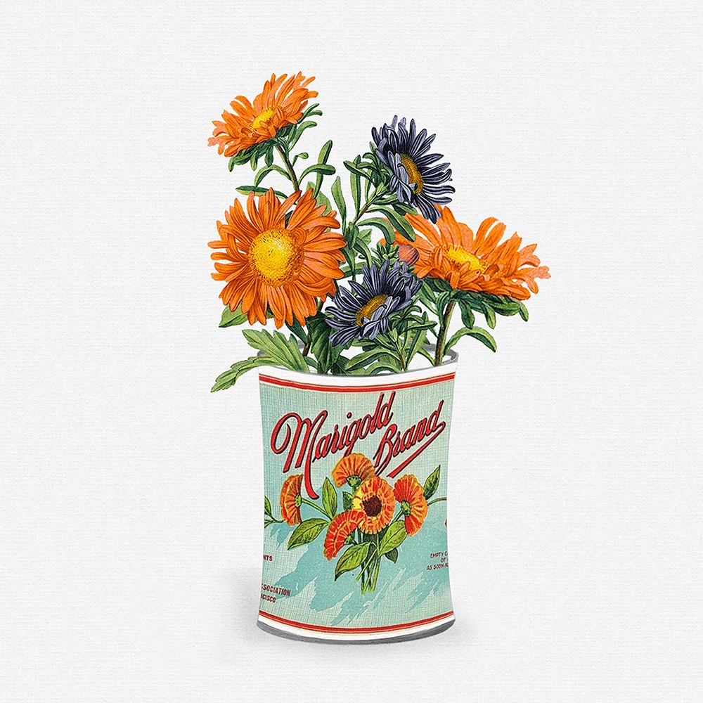 Marigold Brand art print by Val Rhodes for $57.95 CAD