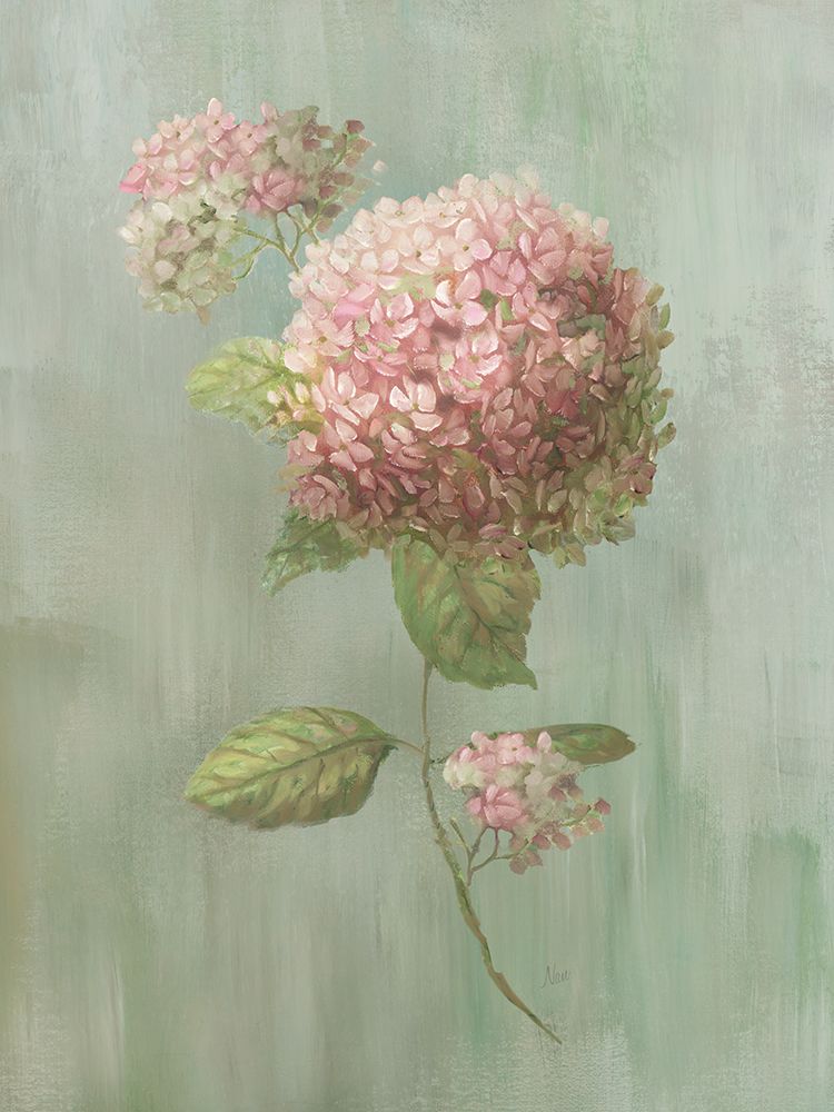 Hydrangea Elegance I art print by Nan for $57.95 CAD