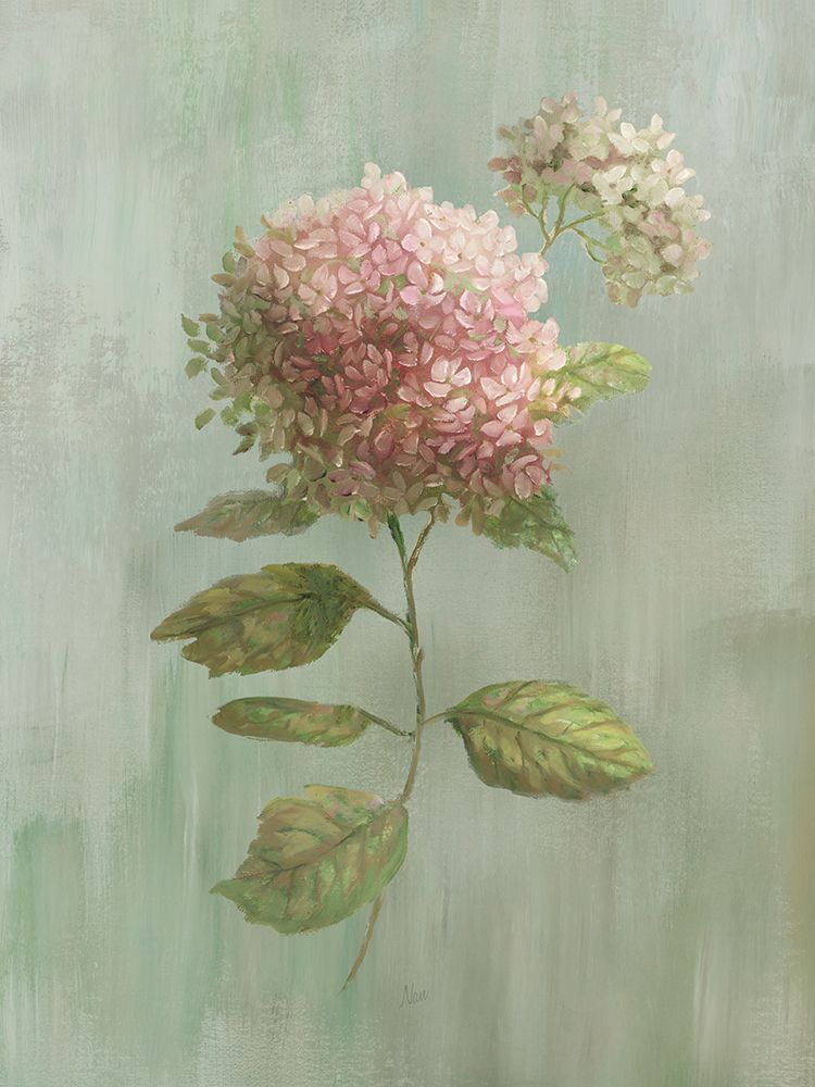 Hydrangea Elegance II art print by Nan for $57.95 CAD