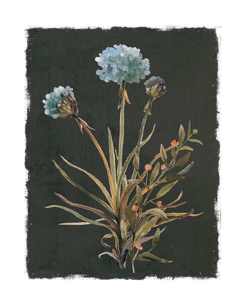 Honeybloom Evening I art print by Carol Robinson for $57.95 CAD