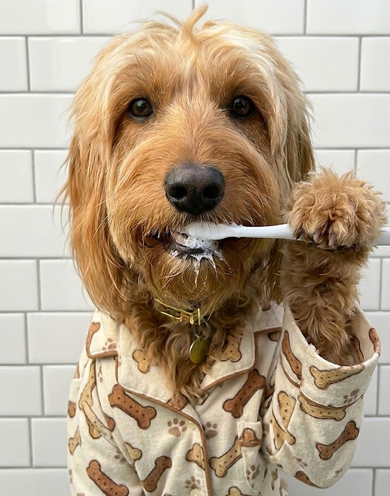 Rosie Bath II art print by Abigail Walker for $57.95 CAD