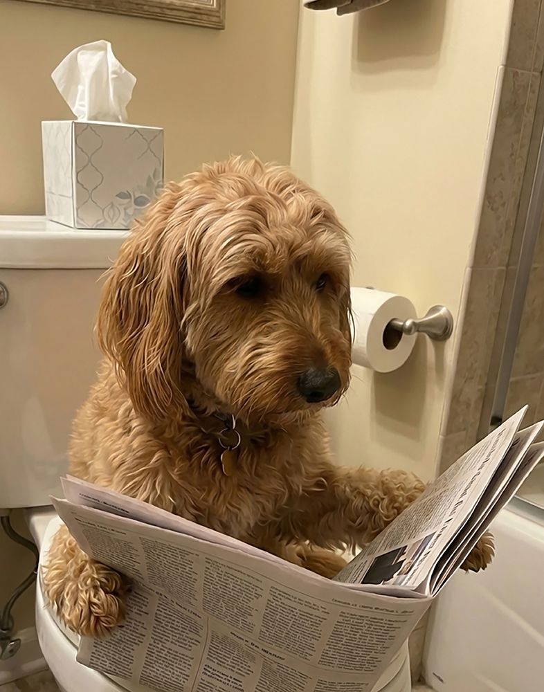 Rosie Bath IV art print by Abigail Walker for $57.95 CAD