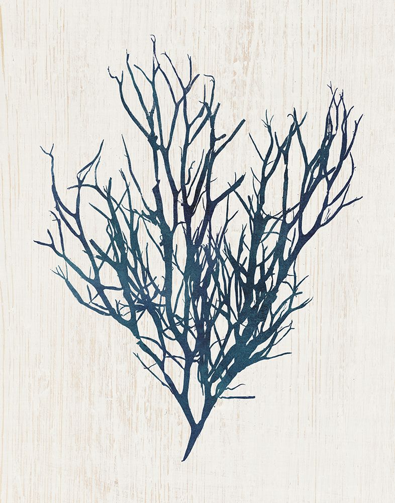 Navy Kelp I art print by Susan Arnot for $57.95 CAD