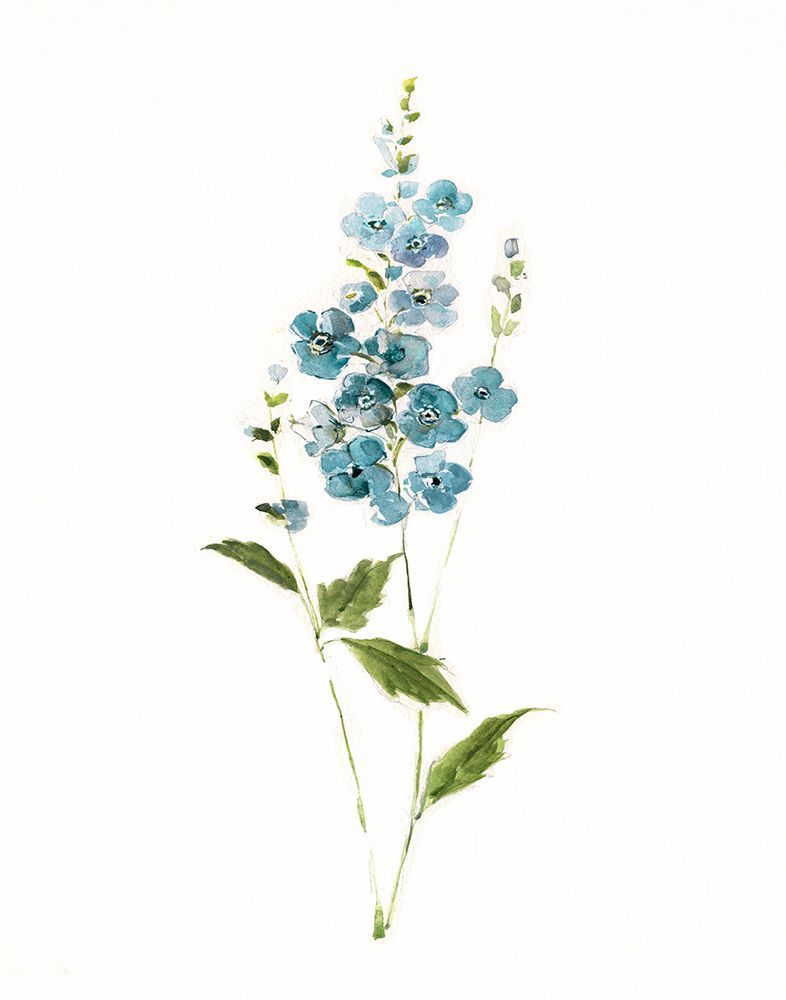 Teal Petals II art print by Sally Swatland for $57.95 CAD