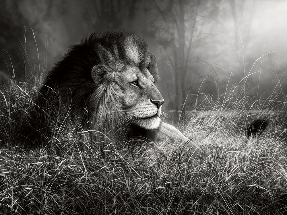 Majestic King art print by Ruane Manning for $57.95 CAD