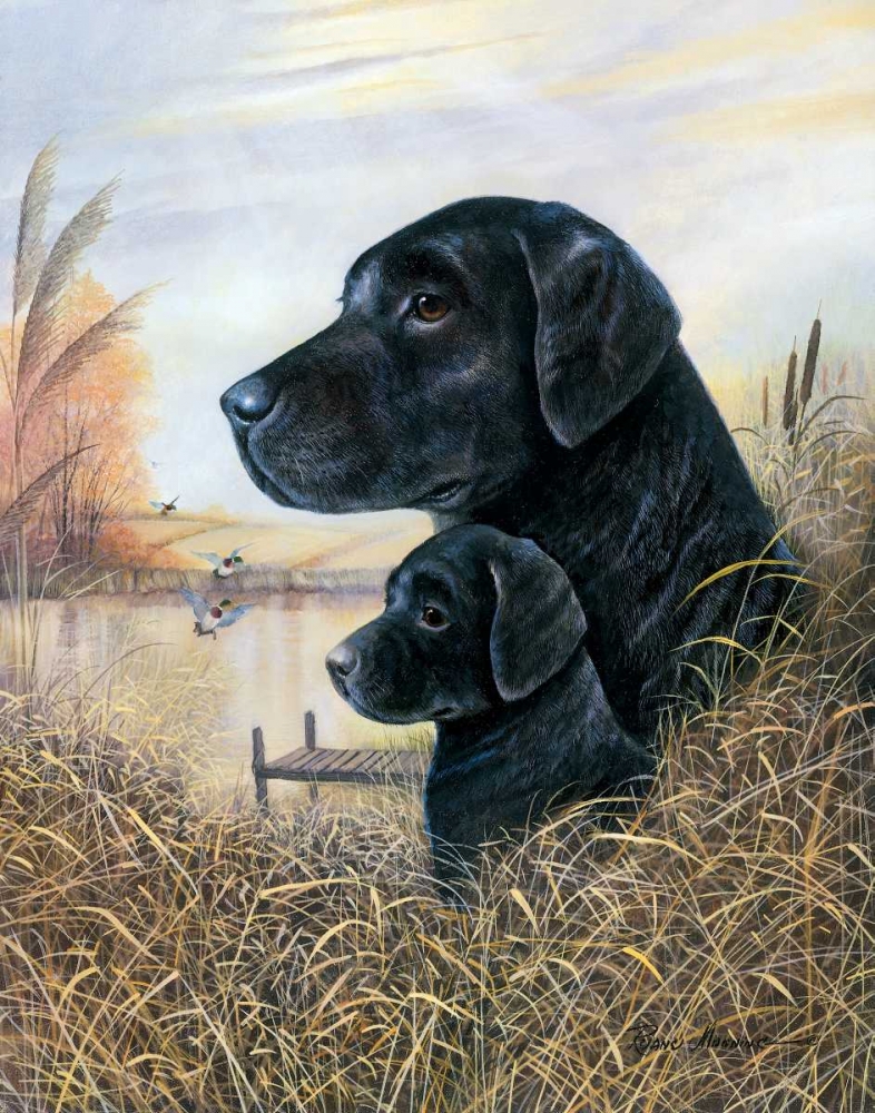 By the Dock art print by Ruane Manning for $57.95 CAD