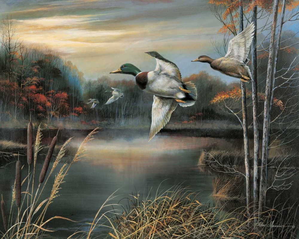 Morning Call art print by Ruane Manning for $57.95 CAD